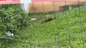 Le trou de huit mètres de profondeur découvert le 11 avril 2024 dans le jardin d'un immeuble de Sainte-Foy-lès-Lyon.