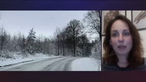 Cécile Christin, propriétaire d'une entreprise de chiens de traineau en Laponie suédoise, le 4 janvier 2024 sur BFMTV.