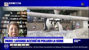 Lafarge accusé de polluer la Seine: "reste à savoir s'il y a un élément intentionnel", s'interroge Corinne Lepage