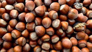 Des noisettes vendues sur un marché du Gers en novembre 2020 (photo d'illustration).