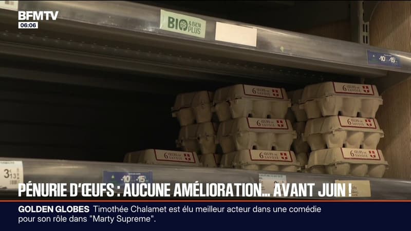 Pénurie d'œufs dans les supermarchés: pourquoi faudra-t-il attendre au moins le mois de juin pour que la situation s'améliore?