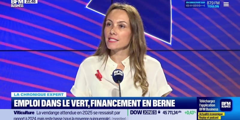 Emploi dans le vert, financement en berne - 09/09