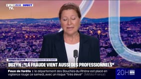 Agnès Buzyn, ancien ministre de la Santé: "La fraude provient également de professionnels qui profitent parfois du système" 