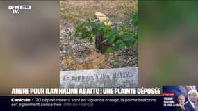 Arbre pour Ilan Halimi abattu: "Ça a été un choc immense quand nous avons appris hier cette profanation", déplore Philippe Meyer (Crif)