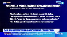 Nouvelle mobilisation des agriculteurs ce mercredi à Gap. 