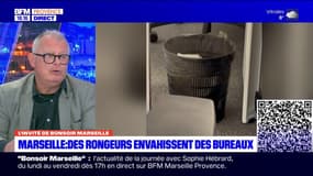 Marseille: le syndicat FO annonce que des mesures ont été prises contre les rongeurs