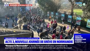Réforme des retraites: nouvelle journée de grève en Normandie