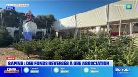 Nice : Des fonds reversés à une association pour chaque sapin acheté