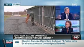 "Le chien a cette capacité extraordinaire de distinguer [les odeurs]"