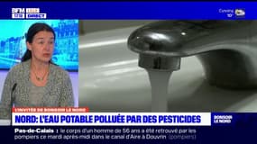 Eau potable polluée par des pesticides: peut-on boire l'eau du robinet dans le Nord?