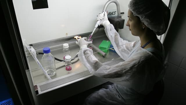 Archive du 4 mars 2008 montrant une scientifique travaillant avec des cellules souches embryonnaires de fécondation in-vitro en laboratoire, à Sao Paulo, au Brésil.