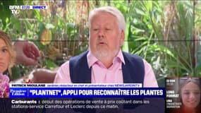 "Plantnet", appli pour reconnaître les plantes - 29/09