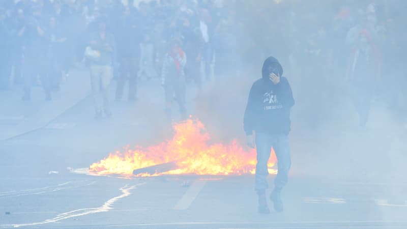 Lors d'une manifestation en mémoire de Rémi Fraisse à Nantes, samedi 1er novembre 2014.