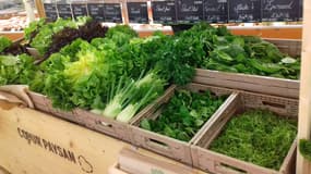 Un étal du supermarché Coeur Paysan, à Colmar.