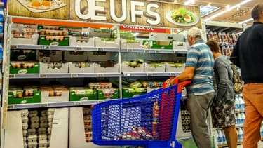 Pour le moment, les produits antiparasitaires incriminés en Belgique et aux Pays-Bas n'ont pas été décelé dans les élevages français.