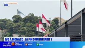 Dans l'objectif : IVG à Monaco, la fin d'un interdit ?
