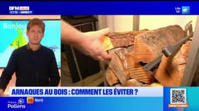 BFM Nord et vous: comment éviter les arnaques au bois?