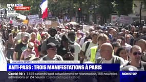La manifestation contre l'extension du pass sanitaire, organisée par un groupe de gilets jaunes à Paris, se déroule dans le calme