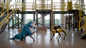 Sparkles, le costume de Boston Dynamics pour son robot-chien Spot.