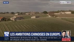 Domaines viticoles, secteur médical... Les Chinois investissent massivement en Europe