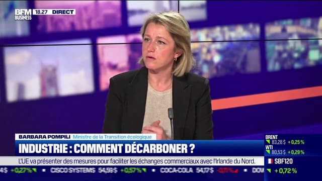 Barbara Pompili, ministre de la Transition écologique.