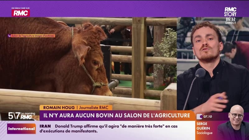 Il n'y aura aucun bovin au salon de l'agriculture