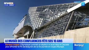 Lyon: le musée des Confluences fête ses 10 ans