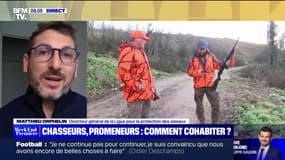 Matthieu Orphelin, directeur général de la LPO: "Le dimanche sans chasse est une mesure très soutenue et de réconciliation avec les chasseurs"
