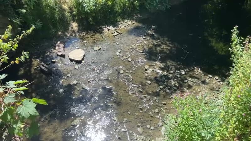 Le bassin de l'Yser dans le Nord.