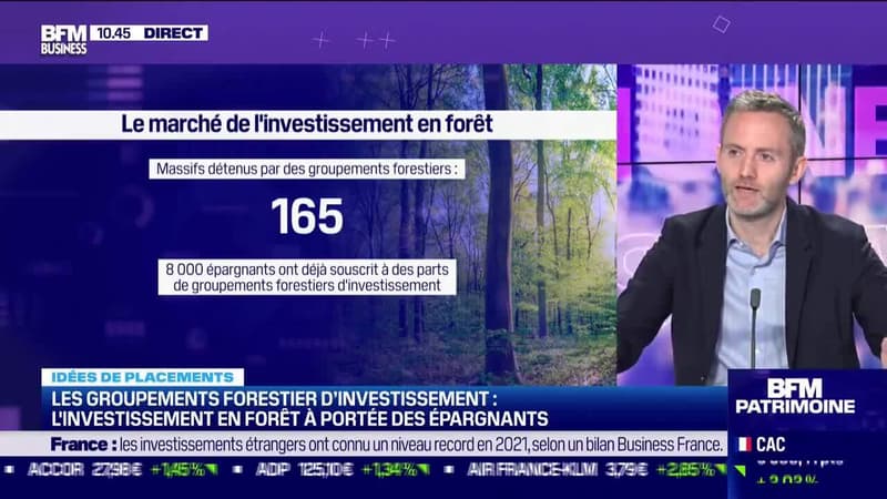 Idée de placements: L'investissement en forêt à portée des épargnants - 14/03