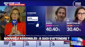 Devancée dans sa circonscription, Amélie de Montchalin dénonce un "projet de mensonges" de la Nupes