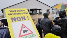 Des militants écologistes et altermondialistes se sont mobilisés contre cette ferme aux dimensions jugées industrielles.