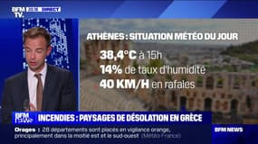 Incendies : paysages de désolation en Grèce - 13/08