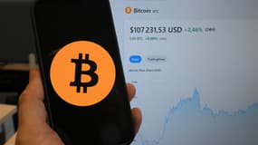 Le bitcoin franchit les 100 000 dollars, décembre 2024.