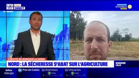 L'agriculture souffre de la sécheresse et de l'impossibilité d'irriguer