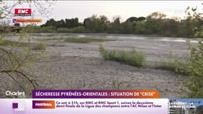 Sécheresse dans les Pyrénées-Orientales: l'ensemble du département en situation de crise