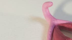 Un clitoris modélisé et imprimé en 3D.