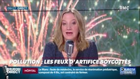 Objectif Terre : Pollution, les feux d'artifice boycottés - 31/12