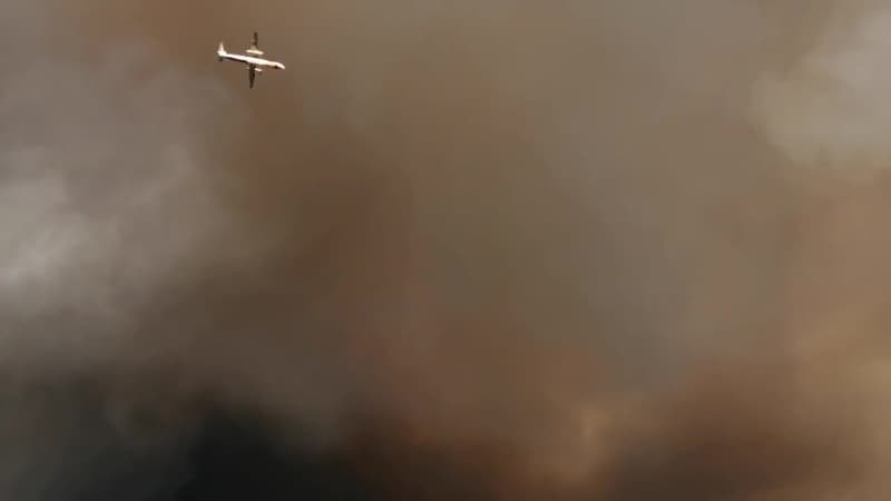 Incendie à Saint-Magne: l'épaisse fumée vue depuis Belin-Béliet - Témoins BFMTV