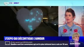 Au palais de la découverte, une exposition décortique l'amour