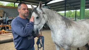 La présence du loup effraie les chevaux de Fabrice Aquilué, éleveur dans les Hautes-Alpes.