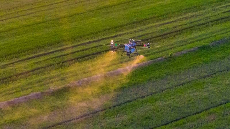 Robots, insectes, "agriculture de précision", génétique... Quels outils pour les agriculteurs qui souhaitent réduire l'usage des pesticides?