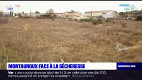 Montauroux: les habitants doivent faire face à la sécheresse