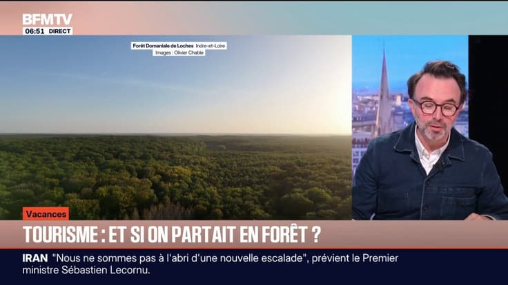 Tourisme: la forêt, endroit idéal pour se reposer et se ressourcer