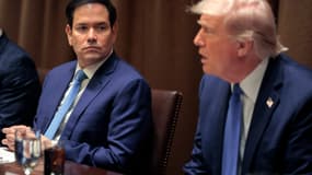 Le secrétaire d'État américain Marco Rubio et le président Donald Trump dans la salle du Cabinet de la Maison Blanche, le 24 avril 2025 à Washington, DC.