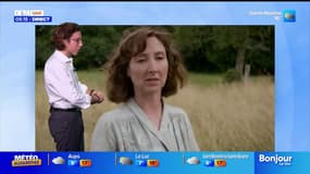 "La bonne étoile" au cinéma - La météo de Colas du mercredi 12 novembre 2025