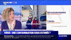 Virus: une contamination sous-estimée ? (2) - 06/03