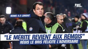 Stade de Reims 4-2 FC Lorient : "Le mérite revient aux Rémois" Le Bris félicite l'adversaire du soir