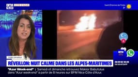 Alpes-Maritimes: une nuit du Nouvel An "calme" cette année