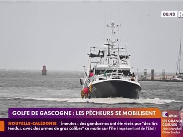 Golfe de Gascogne : les pêcheurs se mobilisent